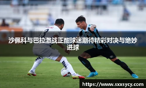 沙佩科与巴拉激战正酣球迷期待精彩对决与绝妙进球